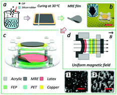 Graphical abstract: Magnetorheological elastomers enabled high-sensitive self-powered tribo-sensor for magnetic field detection