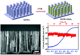 Graphical abstract: One-step chemical vapor deposition of MoS2 nanosheets on SiNWs as photocathodes for efficient and stable solar-driven hydrogen production