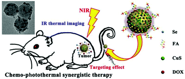 Graphical abstract: Se@SiO2–FA–CuS nanocomposites for targeted delivery of DOX and nano selenium in synergistic combination of chemo-photothermal therapy