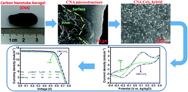 Graphical abstract: Carbon nanotube aerogel–CoS2 hybrid catalytic counter electrodes for enhanced photovoltaic performance dye-sensitized solar cells