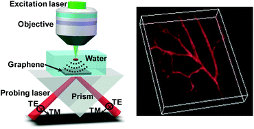 Graphical abstract: Broadband graphene-based photoacoustic microscopy with high sensitivity