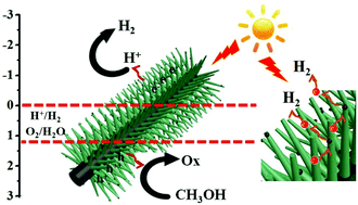 Graphical abstract: Enhanced charge transfer and separation of hierarchical hydrogenated TiO2 nanothorns/carbon nanofibers composites decorated by NiS quantum dots for remarkable photocatalytic H2 production activity