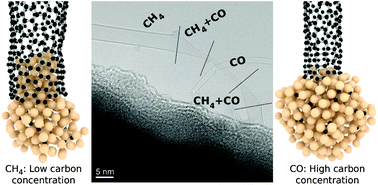 Graphical abstract: Growth modes and chiral selectivity of single-walled carbon nanotubes