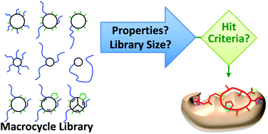 Graphical abstract: Progress towards the broad use of non-peptide synthetic macrocycles in drug discovery