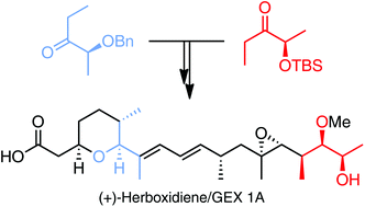 Graphical abstract: Total synthesis of (+)-herboxidiene/GEX 1A