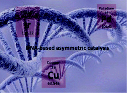 Graphical abstract: A decade of DNA-hybrid catalysis: from innovation to comprehension