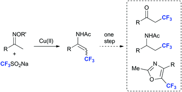 Graphical abstract: A redox-economical synthesis of trifluoromethylated enamides with the Langlois reagent
