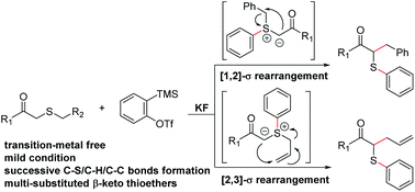 Graphical abstract: Stevens rearrangement of thioethers with arynes: a facile access to multi-substituted β-keto thioethers
