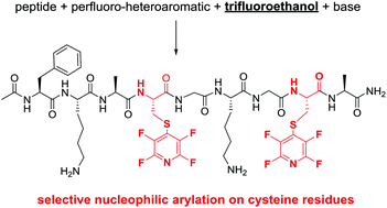 Graphical abstract: 2,2,2-Trifluoroethanol as a solvent to control nucleophilic peptide arylation