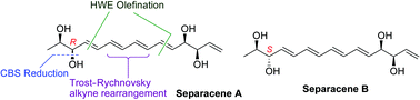 Graphical abstract: Total synthesis of marine natural products separacenes A and B