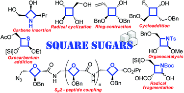 Graphical abstract: Square sugars: challenges and synthetic strategies