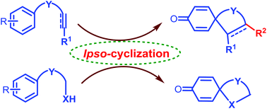 Graphical abstract: ipso-Cyclization: an emerging tool for multifunctional spirocyclohexadienones