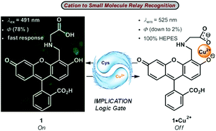 Graphical abstract: A fluorescein-based chemosensor for relay fluorescence recognition of Cu(ii) ions and biothiols in water and its applications to a molecular logic gate and living cell imaging
