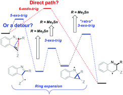 Graphical abstract: Changing the path of least resistance, or access to endo-dig products via a sequence of three exo-trig transition states: electronic effects in homoallyic ring expansion cascades of alkenyl isonitriles