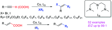 Graphical abstract: Copper-catalyzed fluoroalkylation of alkynes, and alkynyl & vinyl carboxylic acids with fluoroalkyl halides