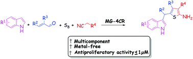 Graphical abstract: A new four-component reaction involving the Michael addition and the Gewald reaction, leading to diverse biologically active 2-aminothiophenes