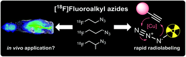 Graphical abstract: [18F]Fluoroalkyl azides for rapid radiolabeling and (Re)investigation of their potential towards in vivo click chemistry