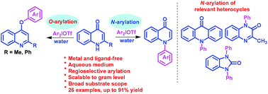 Graphical abstract: Metal-free regioselective formation of C–N and C–O bonds with the utilization of diaryliodonium salts in water: facile synthesis of N-arylquinolones and aryloxyquinolines