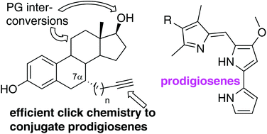 Graphical abstract: Prodigiosenes conjugated to tamoxifen and estradiol