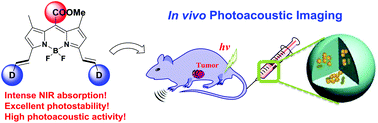 Graphical abstract: Push–pull type meso-ester substituted BODIPY near-infrared dyes as contrast agents for photoacoustic imaging