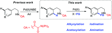 Graphical abstract: Pd-Catalyzed regioselective sequential meta-, ortho-C–H functionalization of arenes: a predictable approach to the synthesis of polysubstituted β-arylethylamines