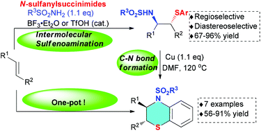 Graphical abstract: Intermolecular sulfenoamination of alkenes with sulfonamides and N-sulfanylsuccinimides to access β-sulfonylamino sulfides and dihydrobenzothiazines