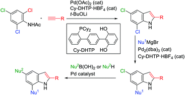 Graphical abstract: Three-step synthesis of 2,5,7-trisubstituted indoles from N-acetyl-2,4,6-trichloroaniline using Pd-catalyzed site-selective cross-coupling