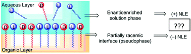 Graphical abstract: Nonlinear effects at the soft interface of an emulsion in the List–Lerner–Barbas aldol reaction