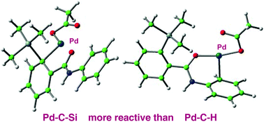 Graphical abstract: Mechanisms for C(sp2)–Si activation of aryltrimethylsilyl groups in palladium-catalysed couplings
