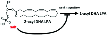 Graphical abstract: A study of synthetic approaches to 2-acyl DHA lysophosphatidic acid