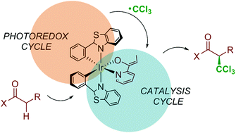 Graphical abstract: Computational characterization of the mechanism for the light-driven catalytic trichloromethylation of acylpyridines