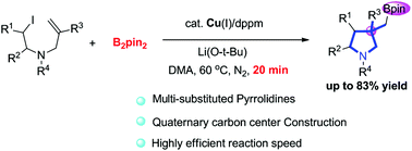 Graphical abstract: Copper(i)-catalyzed 5-exo-trig radical cyclization/borylation of alkyl halides: access to functionalized pyrrolidine derivatives