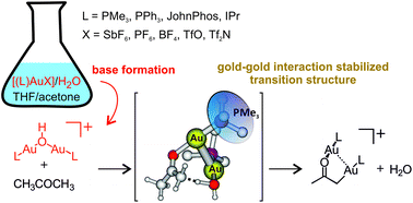 Graphical abstract: Why can a gold salt react as a base?