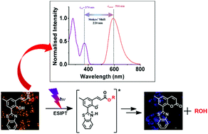 Graphical abstract: ESIPT-induced fluorescent o-hydroxycinnamate: a self-monitoring phototrigger for prompt image-guided uncaging of alcohols