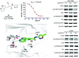 Graphical abstract: Structure-based discovery of new maternal embryonic leucine zipper kinase inhibitors