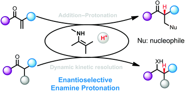 Graphical abstract: Catalytic asymmetric enamine protonation reaction