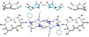 Graphical abstract: Conformational isomerism in cyclic peptoids and its specification