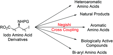 Graphical abstract: Negishi cross-couplings in the synthesis of amino acids