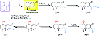 Graphical abstract: Total synthesis of five natural eremophilane-type sesquiterpenoids