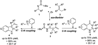 Graphical abstract: Highly efficient asymmetric construction of novel indolines and tetrahydroquinoline derivatives via aza-Barbier/C–N coupling reaction