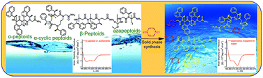 Graphical abstract: Water soluble hydrophobic peptoids via a minor backbone modification