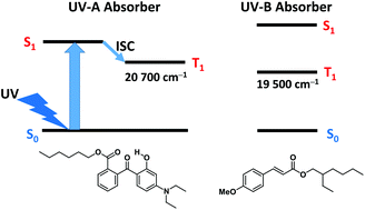 Graphical abstract: Photophysical properties of hexyl diethylaminohydroxybenzoylbenzoate (Uvinul A Plus), a UV-A absorber