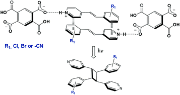 Graphical abstract: 1,2,4,5-Benzenetetracarboxylic acid: a versatile hydrogen bonding template for controlling the regioselective topochemical synthesis of head-to-tail photodimers from stilbazole derivatives