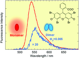 Graphical abstract: Estimation of quantum yields of weak fluorescence from eosin Y dimers formed in aqueous solutions