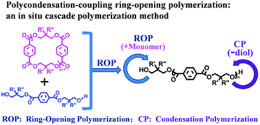 Graphical abstract: PROP: an in situ cascade polymerization method for the facile synthesis of polyesters