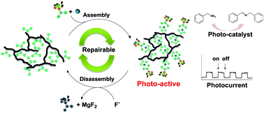 Graphical abstract: Repairable photoactive polymer systems via metal–terpyridine-based self-assembly