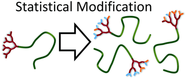 Graphical abstract: Model studies of the sequential and simultaneous statistical modification of dendritic functional groups and their implications within complex polymer architecture synthesis