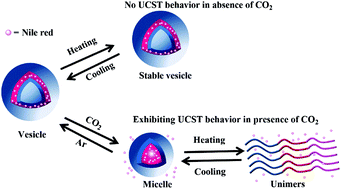 Graphical abstract: CO2-Triggered UCST transition of amphiphilic triblock copolymers and their self-assemblies