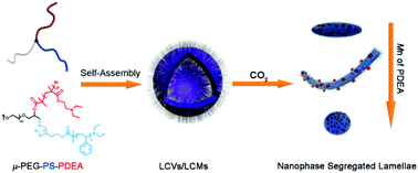 Graphical abstract: CO2-Stimulated morphology transition of ABC miktoarm star terpolymer assemblies