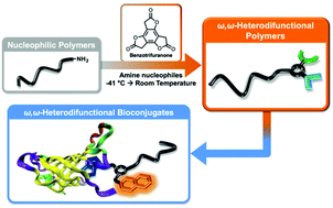 Graphical abstract: Mild and efficient synthesis of ω,ω-heterodifunctionalized polymers and polymer bioconjugates